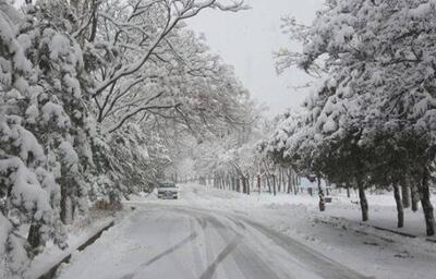 ۵ خوراکی ممنوعه در زمستان