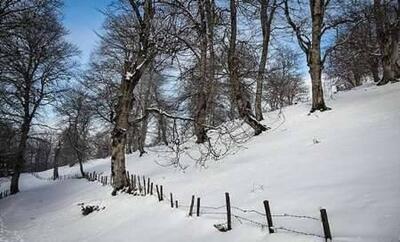 فیلم/ بارش برف در روستاهای سیستان‌وبلوچستان