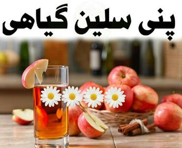 پنی‌سیلین گیاهی: دمنوش سیب و دارچین برای آرامش و رفع خستگی