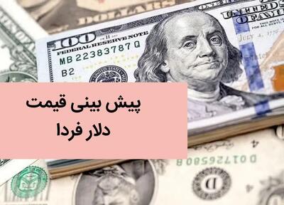 پیش بینی قیمت دلار فردا دوشنبه ۱ بهمن ۱۴۰۳ / دلار به کدام سو می رود گرانی یا ارزانی؟