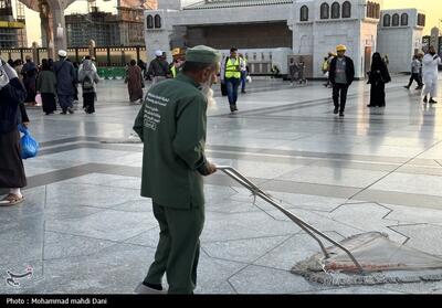 خادمان بنگلادشی و پاکستانی حرم پیامبر (ص)- عکس خبری تسنیم | Tasnim