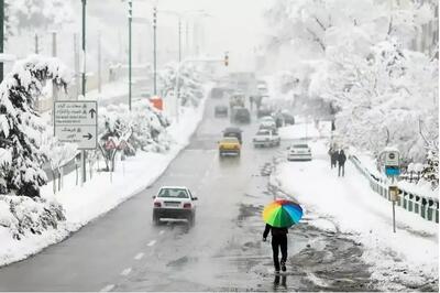 فردا سه شنبه ۲ بهمن ۱۴۰۳ بارش برف شدید در این مناطق کشور/ تهران ۷- درجه