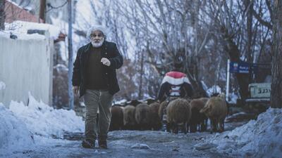 «چشم بادومی» برای حضور در ماراتن فجر آماده می‌شود