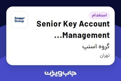 استخدام Senior Key Account Management Specialist در گروه اسنپ