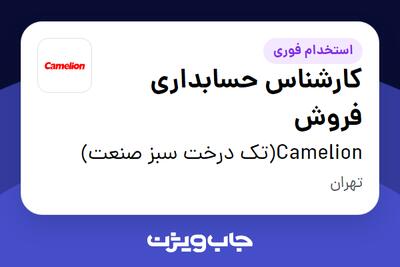 استخدام کارشناس حسابداری فروش در Camelion(تک درخت سبز صنعت)