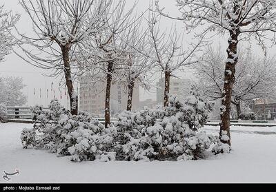 بارش برف در کردستان/گردنه‌ها برف‌گیر شدند+ فیلم - تسنیم