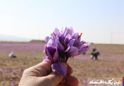 صندوق‌های زعفران و طلا در صدر جدول بازده هفتگی بازارها