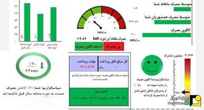 قبوض برآوردی برق صرفا جهت اطلاع مشترکان صادر می‌شود