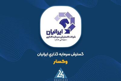 «وگستر» در دی ماه چه کرد؟