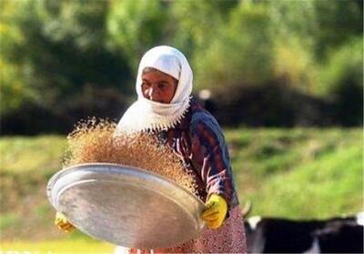 فعالیت ۴۱ صندوق اعتبار خرد زنان روستایی در شهرستان بویین زهرا