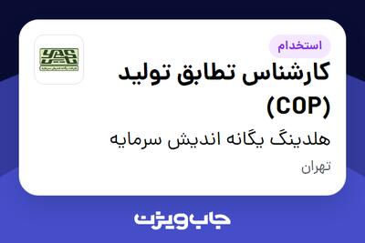 استخدام کارشناس تطابق تولید (COP) در هلدینگ یگانه اندیش سرمایه