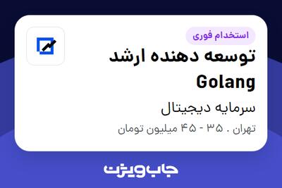 استخدام توسعه دهنده ارشد Golang در سرمایه دیجیتال