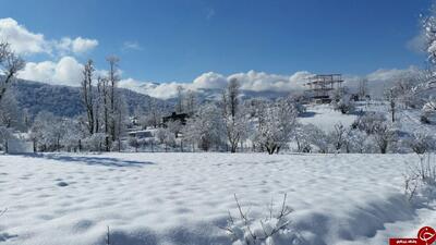 صبح برفی روستای شاه نظر میریان کوهدشت+فیلم