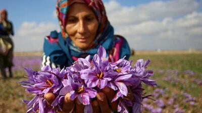 صندوق‌های حمایت از زنان روستایی تقویت می‌شوند