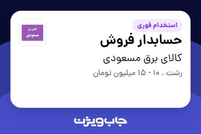 استخدام حسابدار فروش - خانم در الکتریکی رعدوبرق