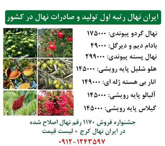 جشنواره فروش بادام دیم دیرگل+ پسته پیوندی و گردو پیوندی  با باردهی %100 تضمینی و ارسال یکروزه