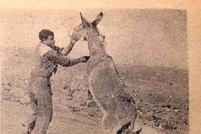 (عکس) سفر به ایران قدیم؛ بالاخره تصویر «اصغر خرکُش» جلاد الاغ‌ها منتشر شد!