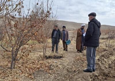 وقف سه قطعه زمین کشاورزی در شهرستان خوسف