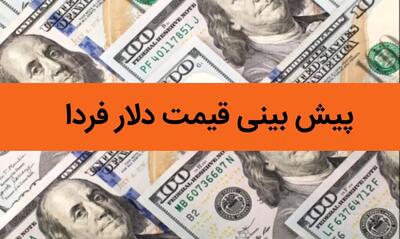 پیش بینی قیمت دلار فردا شنبه ۶ بهمن ۱۴۰۳ / شنبه دلار حسابی پرواز می کند؟