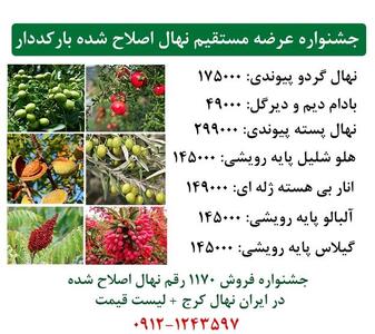 جشنواره عرضه مستقیم نهال اصلاح شده بارکددار در ایران نهال کرج + ارسال یک روزه