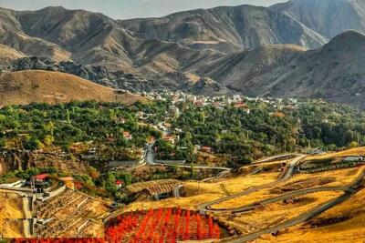 (تصاویر) بهشت لاله های رنگارنگ در نزدیکی تهران؛ روستای کندر کجاست؟