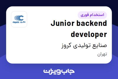 استخدام Junior backend developer در صنایع تولیدی کروز