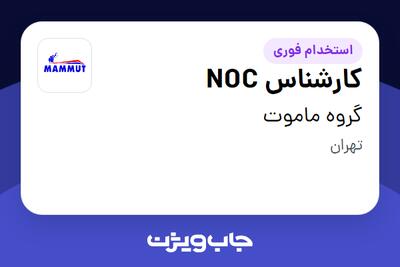 استخدام کارشناس NOC - آقا در گروه ماموت