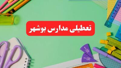 خبر فوری تعطیلی مدارس بوشهر فردا یکشنبه ۷ بهمن ۱۴۰۳ | مدارس بوشهر فردا یکشنبه ۷ بهمن ۱۴۰۳ تعطیل است؟