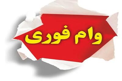 سورپرایز بزرگ دولت برای بازنشستگان؛ وام با شرایط استثنایی در راه است! اندیشه معاصر