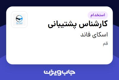 استخدام کارشناس پشتیبانی در اسکای فاند