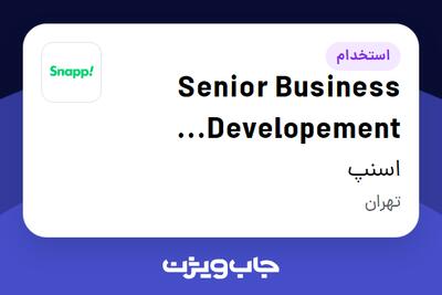 استخدام Senior Business Developement Specialist در اسنپ