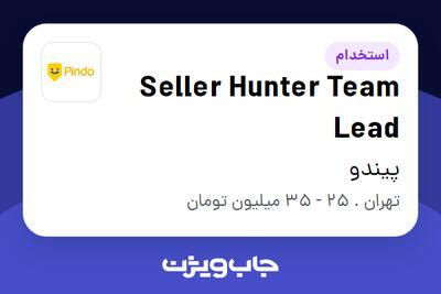 استخدام Seller Hunter Team Lead در پیندو