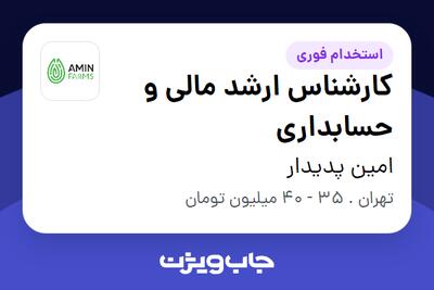 استخدام کارشناس ارشد مالی و حسابداری در امین پدیدار