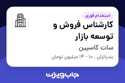 استخدام کارشناس فروش و توسعه بازار در سات کاسپین