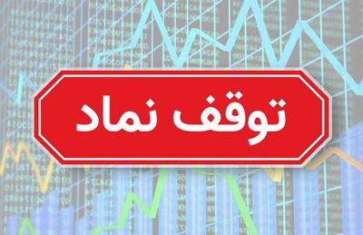 کدام نمادها امروز در بورس متوقف شدند؟