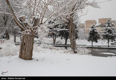 بارش شدید برف و باران در ۱۰ استان