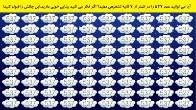 آیا می توانید عدد 527 را در کمتر از 7 ثانیه تشخیص دهید؟ اگر فکر می کنید بینایی خوبی دارید،این چالش را قبول کنید!