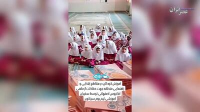 (ویدئو) یک ماهی کوچک که فقط در ایران و فقط در زاینده رود زندگی می‌کند و دشمن مالاریا هم هست؛ آفانیوس در حال منقرض شدن است