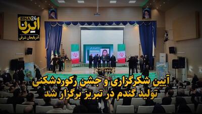 فیلم| آیین شکرگزاری و جشن رکوردشکنی تولید گندم در تبریز برگزار شد