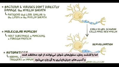 گیلن باره چیست ؟ + فیلم