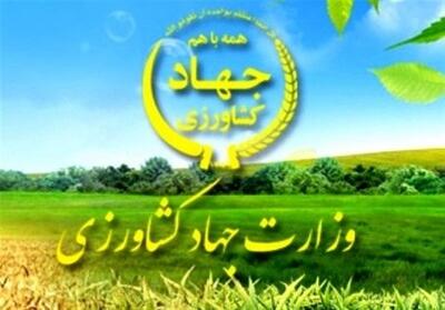 رفع تداخلات در 500 هزار هکتار از اراضی کشاورزی استان مرکزی - تسنیم