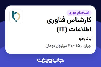 استخدام کارشناس فناوری اطلاعات (IT) در بادونو