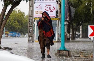 عکس/ بارش باران و تگرگ در بندرعباس