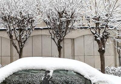 بارش شدید برف در تهران پنجشنبه  و جمعه ( ۱۸ و ۱۹ بهمن‌ماه)/ این مناطق ۱۲- درجه سانتیگراد