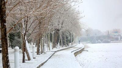 برف و باران و سرما در راه تهران