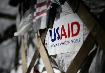 افشاگری‌های ایلان ماسک و جدال بر سر نقش USAID در سیاست جهانی - تسنیم