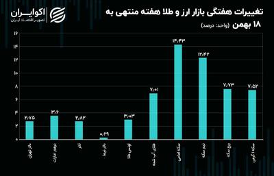 سکه و نیم سکه پریدند / عوامل اثرگذار بر آینده دلار