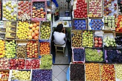 ۱۰ میدان جدید تره‌بار در تهران افتتاح خواهد شد/ افزایش ۲۵ هزار فرصت شغلی در میوه و تره‌بار تهران