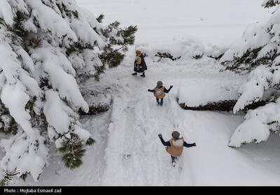 امدادرسانی به 345 گرفتار شده در برف جاده‌های مازندران - تسنیم