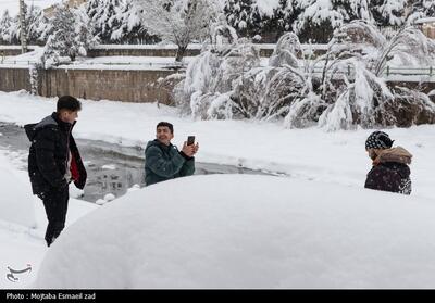 مدارس برخی شهرهای کردستان روز 20بهمن مجازی شد - تسنیم